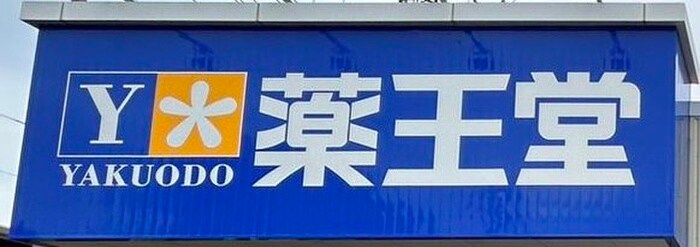 薬王堂(ドラッグストア)まで450m ﾁｻﾝﾏﾝｼｮﾝ南仙台駅前(206)