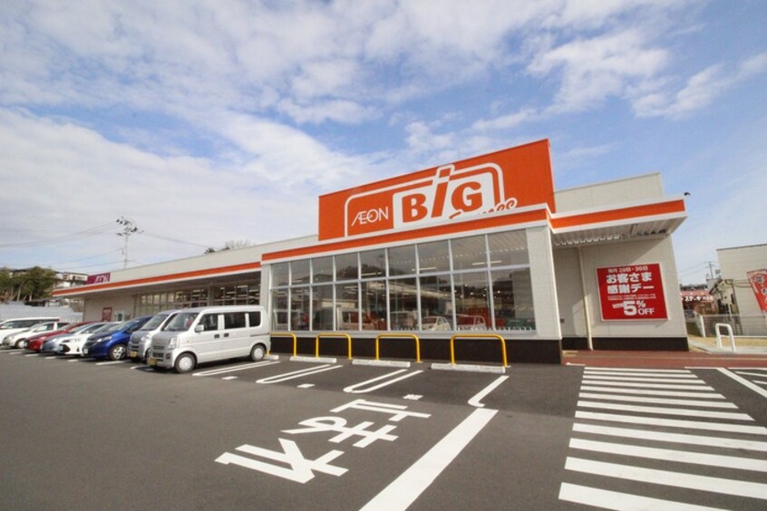 ザ・ビッグエクスプレス燕沢店(スーパー)まで668m ル・シェル　エトワーレ