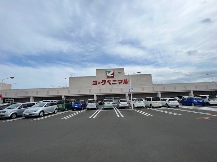 ヨークベニマル岩沼店(スーパー)まで850m ヴィラ　リバーサイド　C