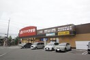 クスリのアオキ 二木店(ドラッグストア)まで500m ハミングバードB