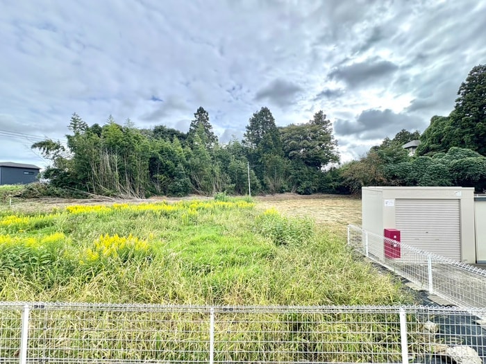 室内からの展望 ストロベリーハウスⅣ