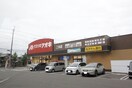 クスリのアオキ二木店(ドラッグストア)まで1000m エステート桜C