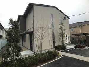 サクラスターかみすき