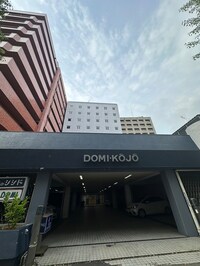 ドミー向城(807)