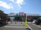 生鮮食品館原ノ町ピボット(スーパー)まで500m バウ　銀杏町