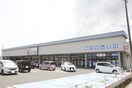 カワチ薬局岩沼店(ドラッグストア)まで1700m グリーンフィールドE棟