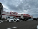 ツルハドラッグ名取田高店(ドラッグストア)まで500m シャトレーハピネスⅡ