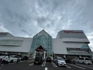 東京インテリア家具仙台南店(ディスカウントショップ)まで750m シャトレーハピネスⅡ
