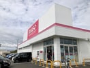 ダイソー 新田東店(100均)まで500m オーブA