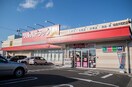 ツルハドラッグ 仙台大和町店(ドラッグストア)まで700m 一本杉ＡＰ