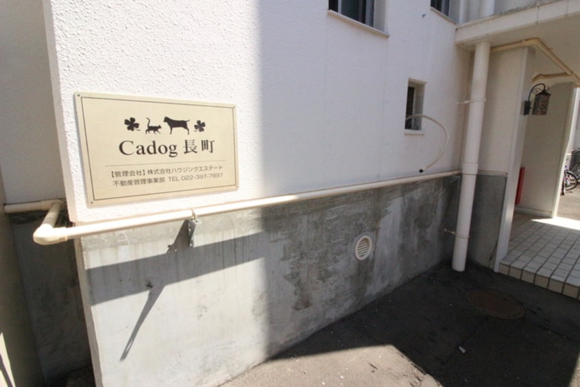 エントランス部分 Cadog長町