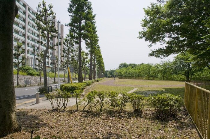 鶴ケ谷中央公園(公園)まで150m ハイム柏山