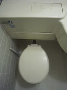 トイレ ﾀﾞｲｱﾊﾟﾚｽｽﾃｰｼｮﾝﾌﾟﾗｻﾞ五橋(206)