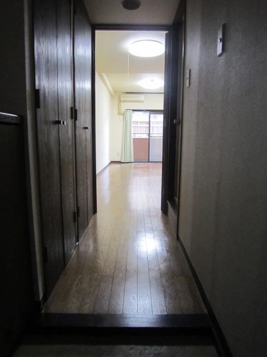 玄関 ﾀﾞｲｱﾊﾟﾚｽｽﾃｰｼｮﾝﾌﾟﾗｻﾞ五橋(206)