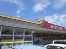 ヨークベニマル大和町店(スーパー)まで220m コーポ新陽
