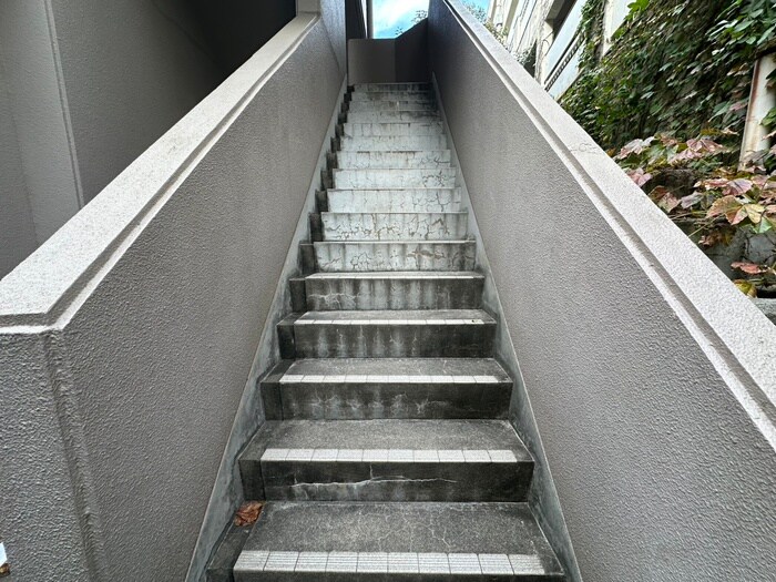 その他 アウラ8