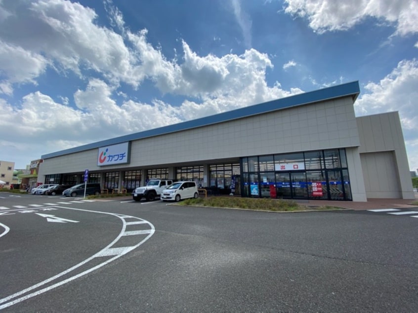 カワチ(ドラッグストア)まで280m シエル若林