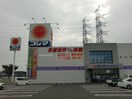 コジマ(電気量販店/ホームセンター)まで1230m コーポグローバル多賀城