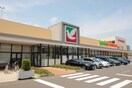 ヨークベニマル 太子堂店(スーパー)まで1100m シティ郡山Ｃ