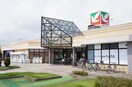 ヨークベニマル矢本店(スーパー)まで1260m シャルマンメゾン