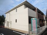 カモミールⅡ