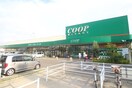 みやぎ生協 高砂店(スーパー)まで1000m ハーモニーテラス栄Ⅲ