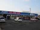 ポピー田子店(ドラッグストア)まで1650m ミキマンション