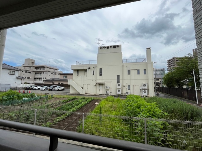 室内からの展望 クレストⅣ