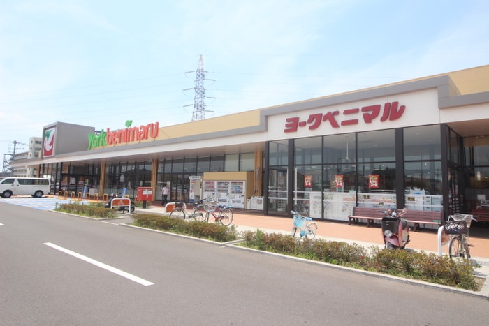 ヨークベニマル(スーパー)まで1630m クレストⅣ
