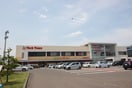 ヨークベニマル太子堂店(スーパー)まで1600m 鈴木方貸家2