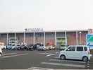 ヤマザワ田子店(スーパー)まで2500m 宮城アパート