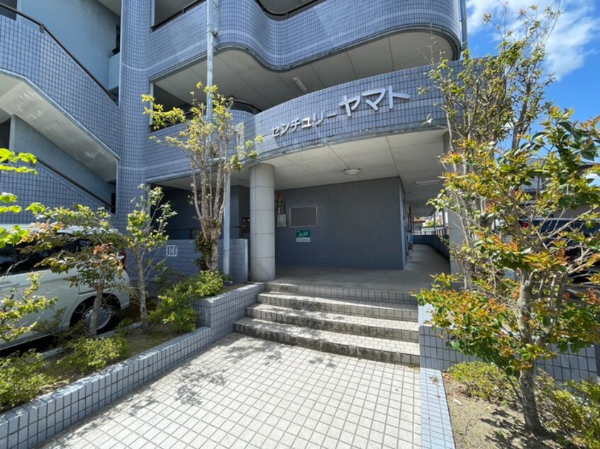 エントランス部分 センチュリーヤマト