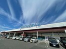 ヤマザワ吉岡支店(スーパー)まで700m グランドプラザ吉岡