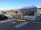 ローソン仙台遠見塚店(コンビニ)まで300m サンプラザ