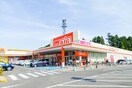 ザ・ビッグ　多賀城店(スーパー)まで410m ライフピアⅢ