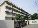 沖野中学校(中学校/中等教育学校)まで346m 星アパート