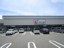 カワチ薬品 塩がま店(ドラッグストア)まで700m メゾンカンノ