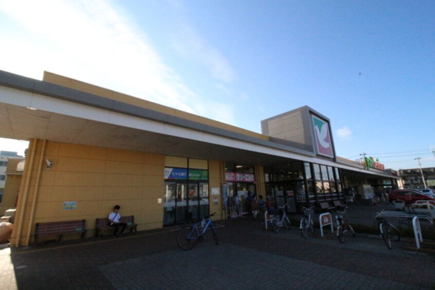 ヨークベニマル仙台愛子店(スーパー)まで2000m アパパネⅠ