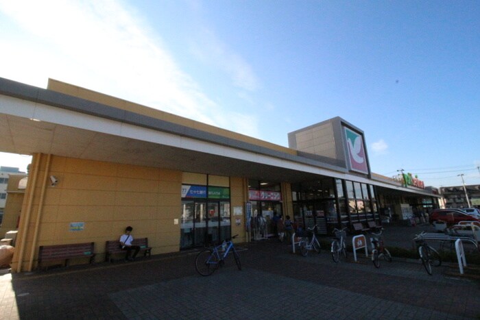 ヨークベニマル仙台愛子店(スーパー)まで2000m アパパネⅠ