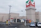 ヨークベニマル 大和吉岡店(スーパー)まで350m エトワール弐番館