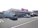 ダイソー杜のまち店(100均)まで500m オーキッド