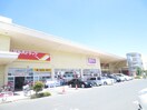 ツルハドラッグ(ドラッグストア)まで1350m 東仙台レジデンス参番館