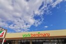 ヨークベニマル　フォレオ東仙台店(スーパー)まで800m 東仙台2丁目戸建