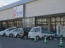 カワチ薬品ゆめタウン店(ドラッグストア)まで1600m ソレイユⅠ