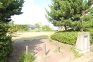 高砂一丁目公園(公園)まで270m グランドスクエア高砂