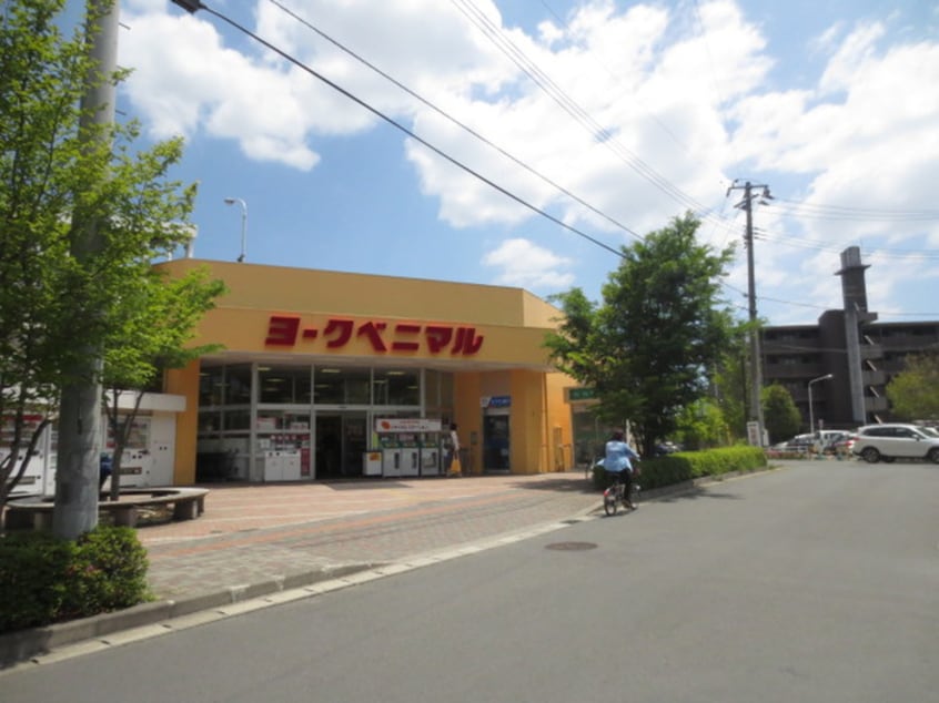 ヨークベニマル(スーパー)まで400m コーポ川原