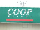 ＣＯＯＰ看板(スーパー)まで1100m ハイツ深山