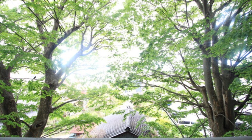 室内からの展望 La Douceur青葉小田原