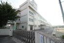 仙台市立中野中学校(中学校/中等教育学校)まで411m creer中野栄