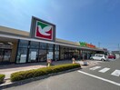 ヨークベニマル名取バイパス店(スーパー)まで550m ティアラⅡ